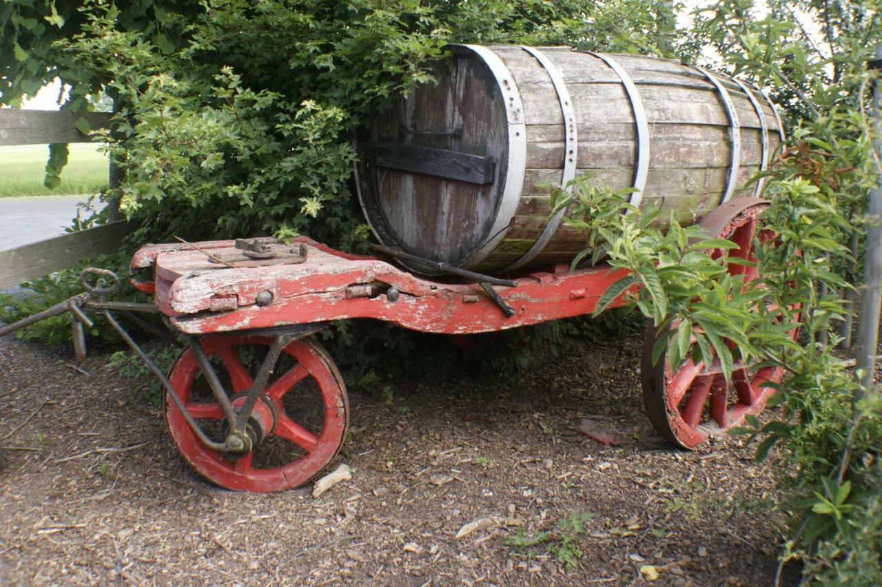 Boeren Biezen Bed Landelijk Villa Bagian luar foto