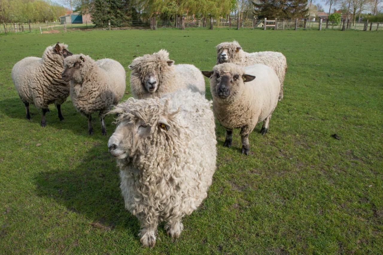 Boeren Biezen Bed Landelijk Villa Bagian luar foto