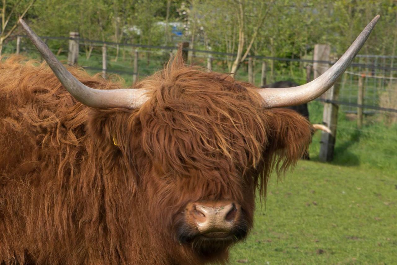 Boeren Biezen Bed Landelijk Villa Bagian luar foto