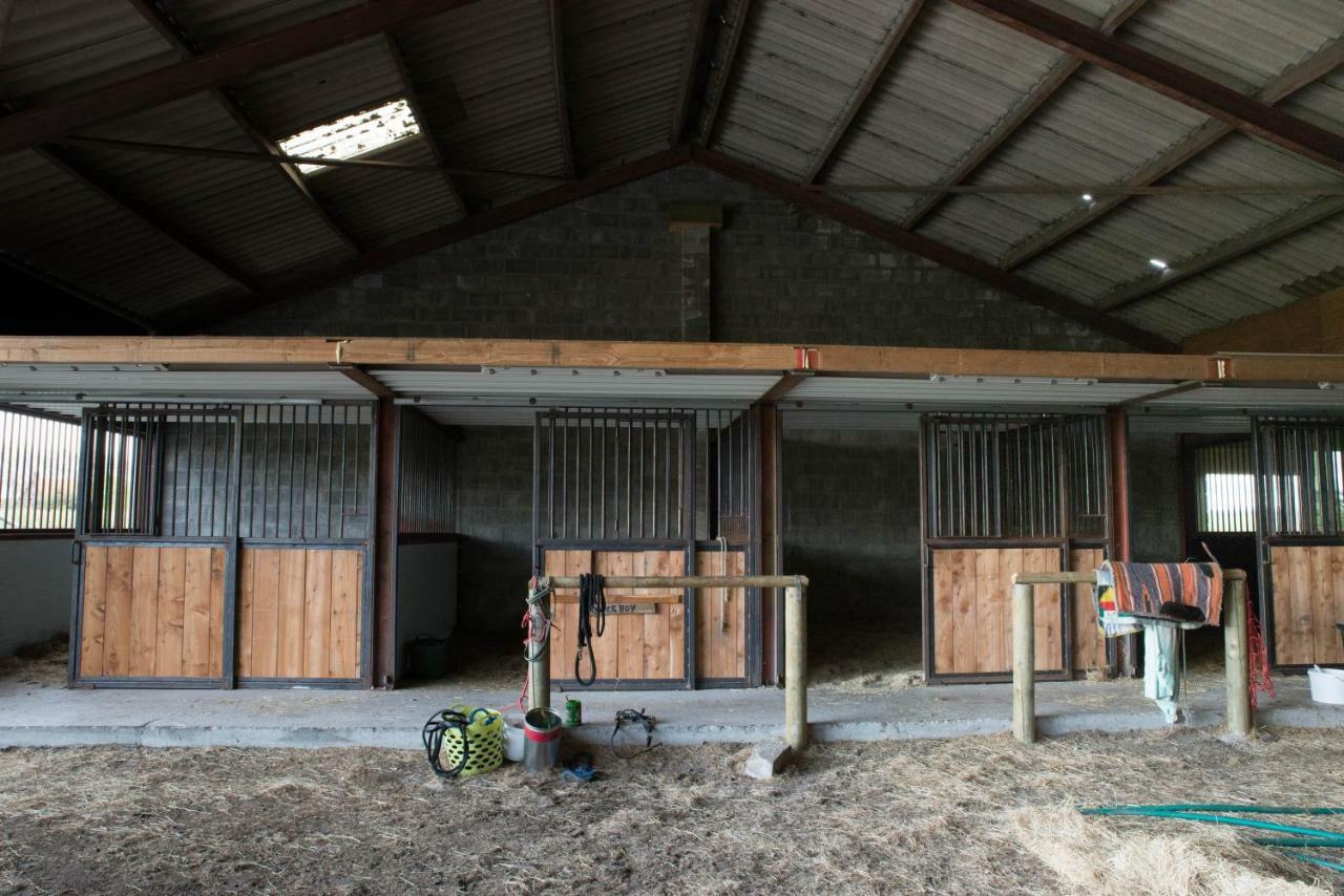 Boeren Biezen Bed Landelijk Villa Bagian luar foto