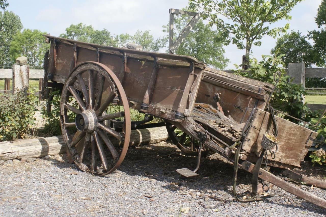 Boeren Biezen Bed Landelijk Villa Bagian luar foto