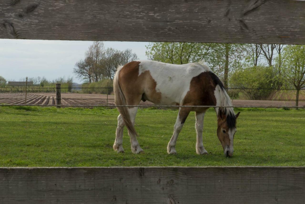 Boeren Biezen Bed Landelijk Villa Bagian luar foto