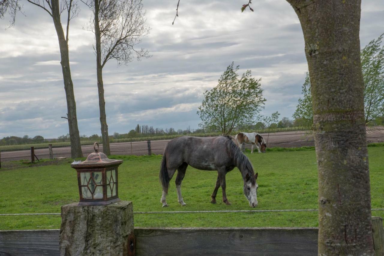 Boeren Biezen Bed Landelijk Villa Bagian luar foto