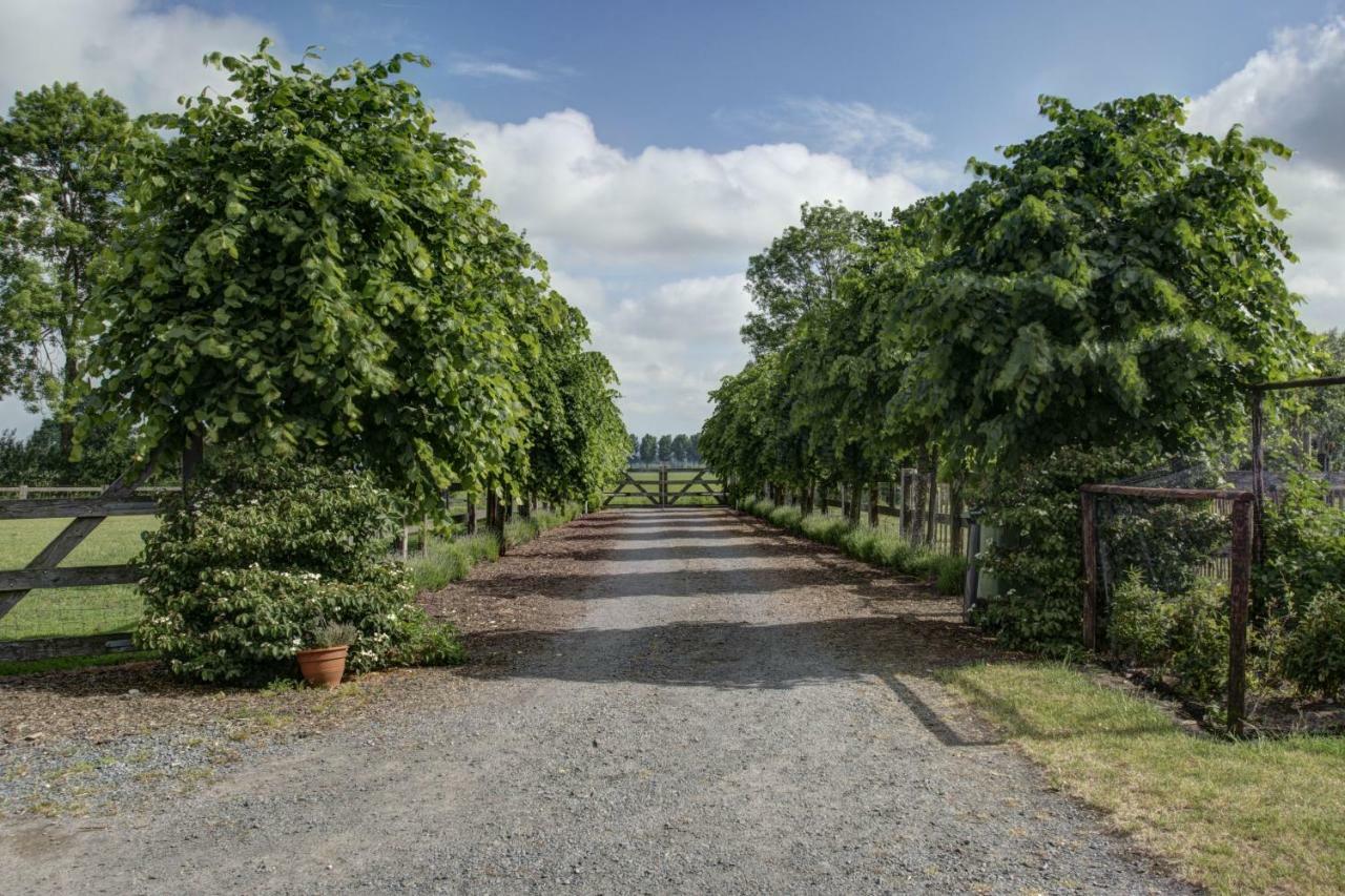 Boeren Biezen Bed Landelijk Villa Bagian luar foto