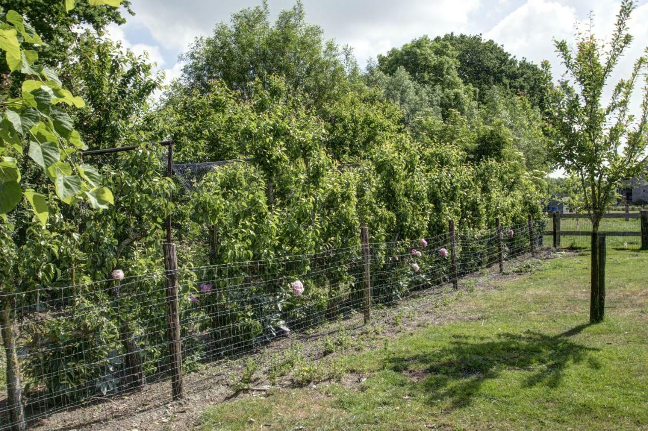 Boeren Biezen Bed Landelijk Villa Bagian luar foto
