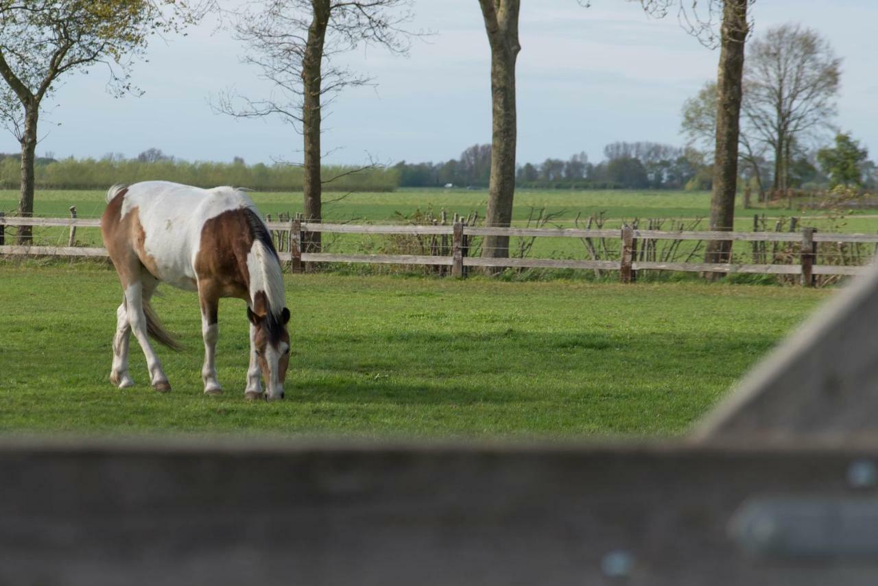 Boeren Biezen Bed Landelijk Villa Bagian luar foto